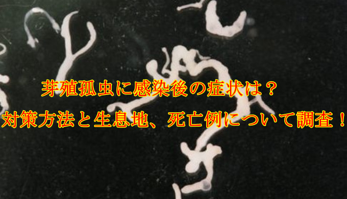 芽殖孤虫に感染後の症状は 対策方法と生息地 死亡例について調査 疑問に思った知りたい情報