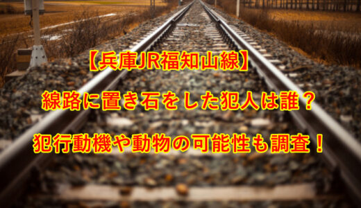 【兵庫JR福知山線】線路に置き石をした犯人は誰？犯行動機や動物の可能性も調査！