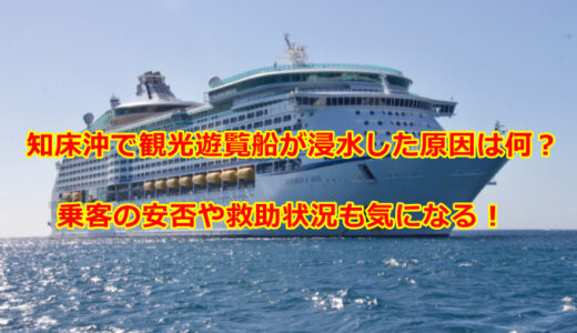 知床沖で観光遊覧船が浸水した原因は何？乗客の安否や救助状況も気になる！