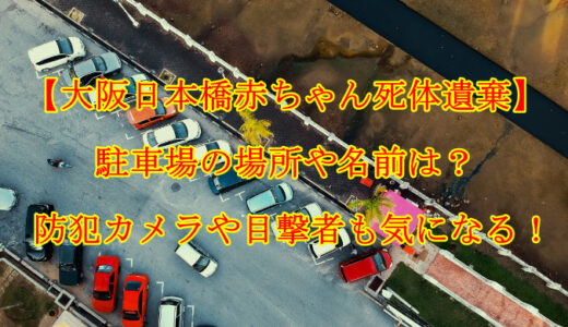 【大阪日本橋赤ちゃん死体遺棄】駐車場の場所や名前は？防犯カメラや目撃者も気になる！
