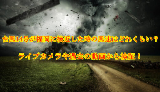 台風14号が福岡に接近した時の風速はどれくらい？ライブカメラや過去の動画から検証！