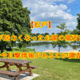 【松戸】南朝芽が居なくなった公園の場所はどこ？名前や目撃情報があるのか調査！