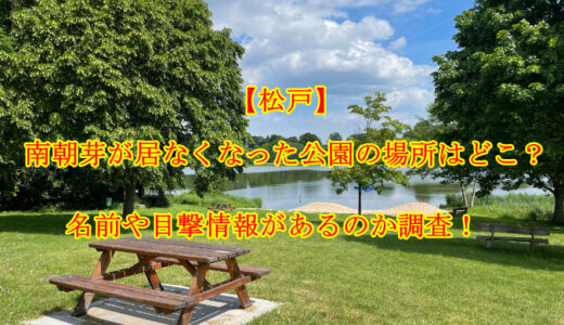 【松戸】南朝芽が居なくなった公園の場所はどこ？名前や目撃情報があるのか調査！